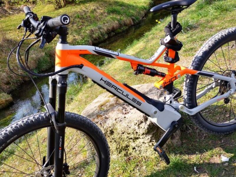 Orange graues E-Bike lehnt an einem Baumstumpf vor einem Bach