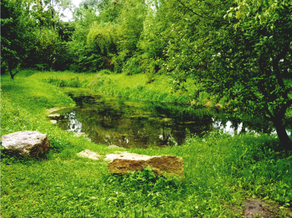 Eine malerische, von Bäumen umgebene Bachlandschaft mit saftigem Grün und einigen größeren Steinen als Sitzgelegenheiten im Vordergrund am Heimgarten in Taufkirchen