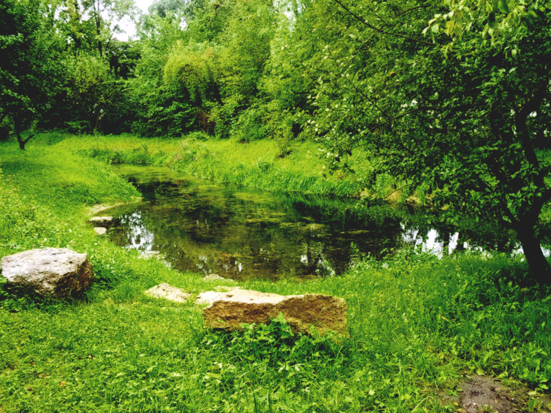 Eine malerische, von Bäumen umgebene Bachlandschaft mit saftigem Grün und einigen größeren Steinen als Sitzgelegenheiten im Vordergrund am Heimgarten in Taufkirchen