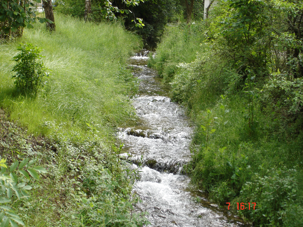 Der Hachinger Bach fließt an der Brücke am Mühlweg durch eine üppig grüne, bewachsene Landschaft, hier wurde eine hoher Absturz/Wasserfall in eine Sohlrampe umgewandelt, so dass das Wasser jetzt nicht mehr weit herabstürzt, sondern einen flachen Berg herabfließt, so können die Wassertiere das Hindernis leicht überwinden