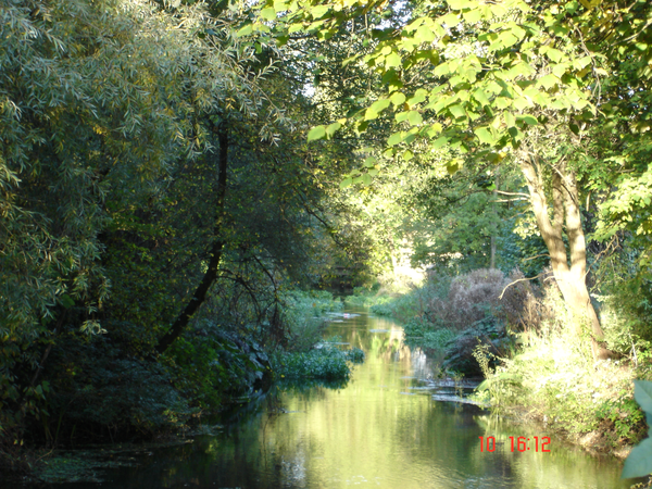 Hachinger Bach, aufgenommen von der Brücke am Mühlweg, renaturierte Stelle mit Buhnen und Steinen, mäandernde Form, der Bach schlängelt sich, begleitet von saftigem Grün und Bäumen entlang der Tölzer Straße renaturiert mit Steinen und Weidengeflecht am Rand, um viele verschiedene Strukturen zu erhalten