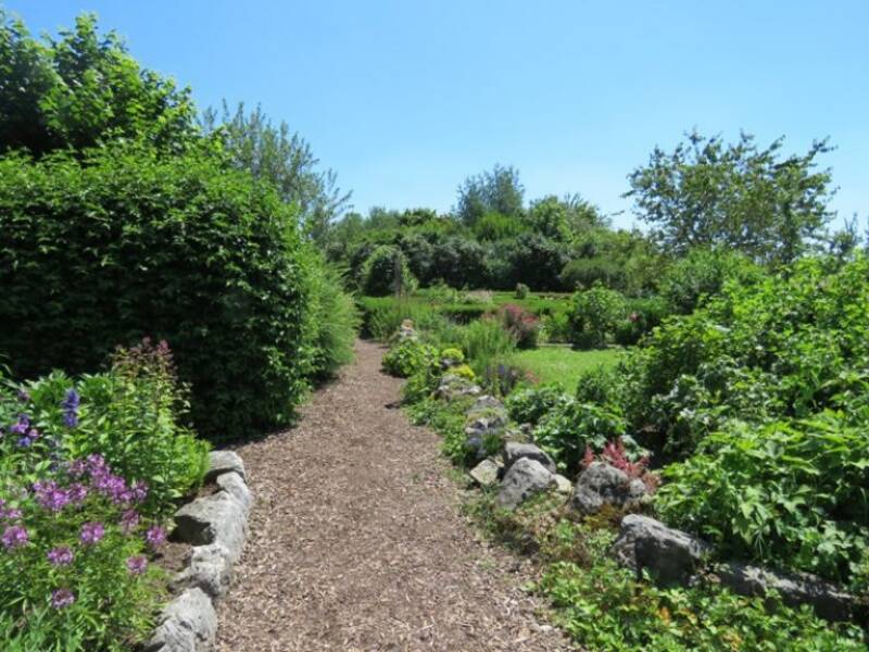 Weg durch den Umweltgarten Taufkirchen, links unten der Bereich Kräutergarten mit lila und rosa Kräutern, rechts Sicht auf Blumenwiese  und Rosengarten, in der Ferne der Sinnespfad