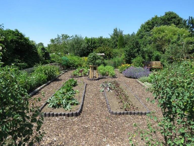 Umweltgarten Taufkirchen zeigt den Bereich Bauerngarten im Frühjahr,  mehrere angelegte Beete mit Sprösslingen verschiedener Nutzpflanzen, Salat, Kohlrabi, Karotten