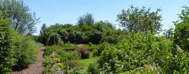 Umweltgarten  in Taufkirchen, Blick auf Blumenwiese und Rosengarten in Richtung Sinnespfad entlang eines Weges, viel Grün, bunte Pflanzen und Kräuter