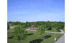 Grüne Parklandschaft mit Bäumen einem Weg und blauem Himmel