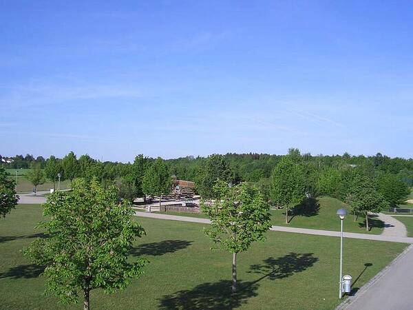 Grüne Parklandschaft mit Bäumen einem Weg und blauem Himmel